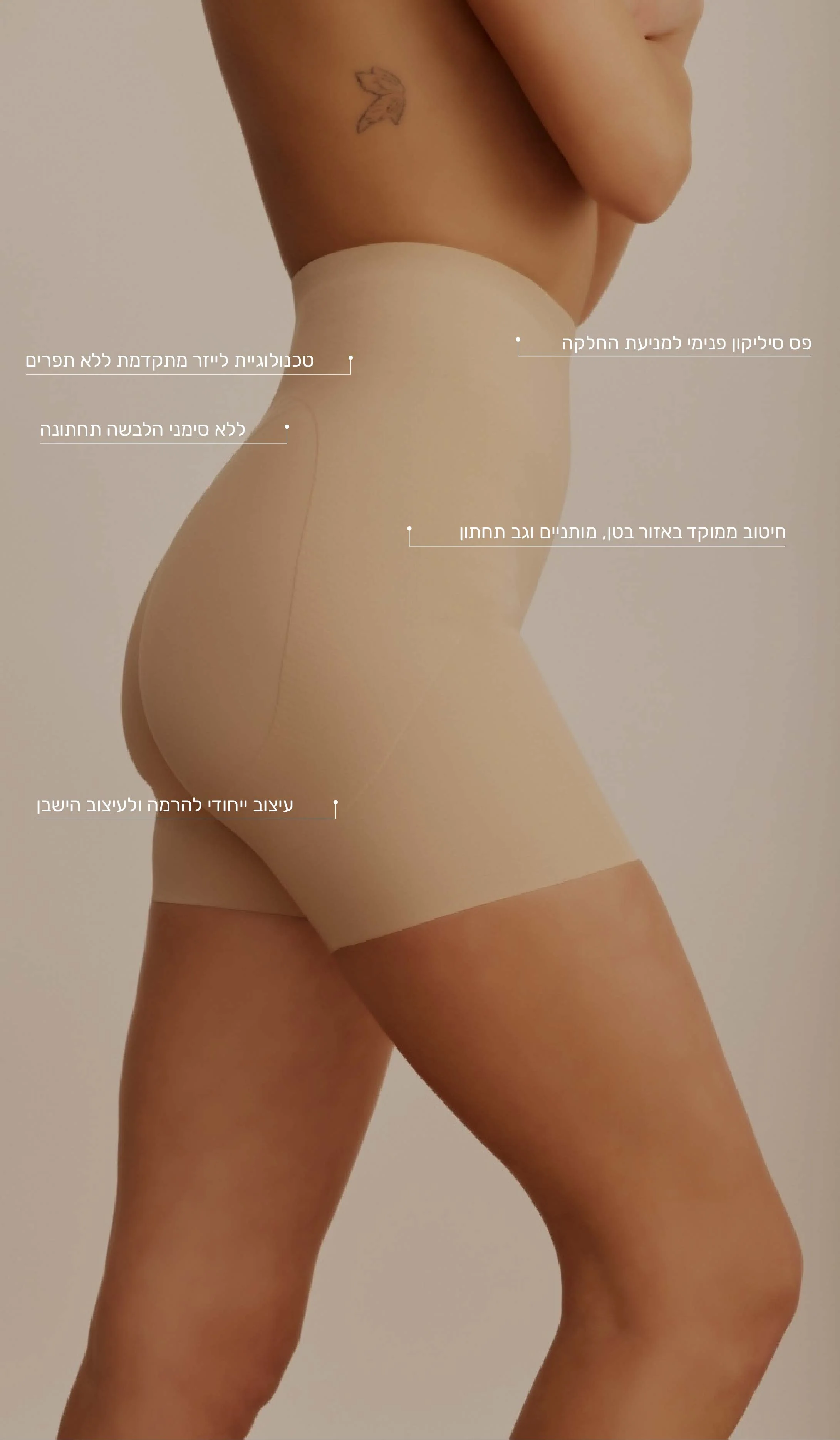 תמונת מוצר 2